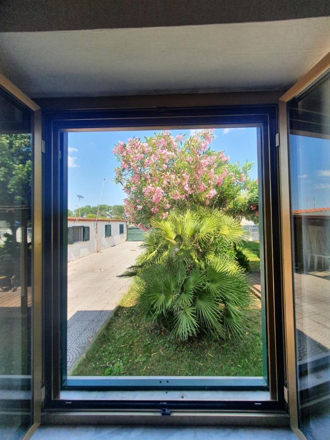 Andrea'S House Βίλα Φιουμιτσίνο Εξωτερικό φωτογραφία