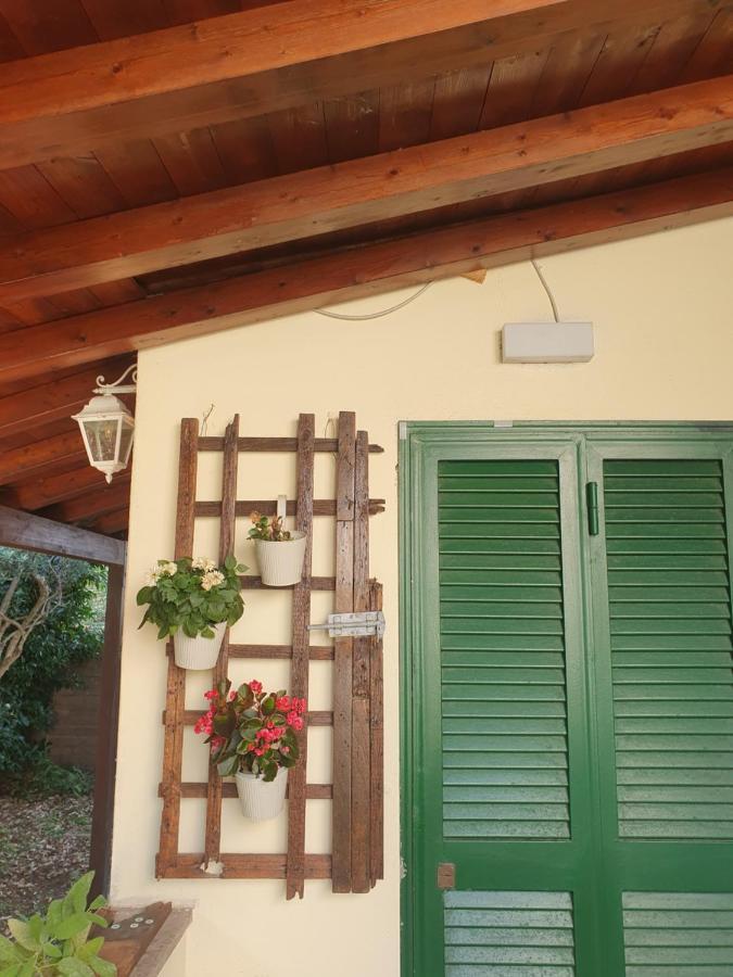 Andrea'S House Βίλα Φιουμιτσίνο Εξωτερικό φωτογραφία