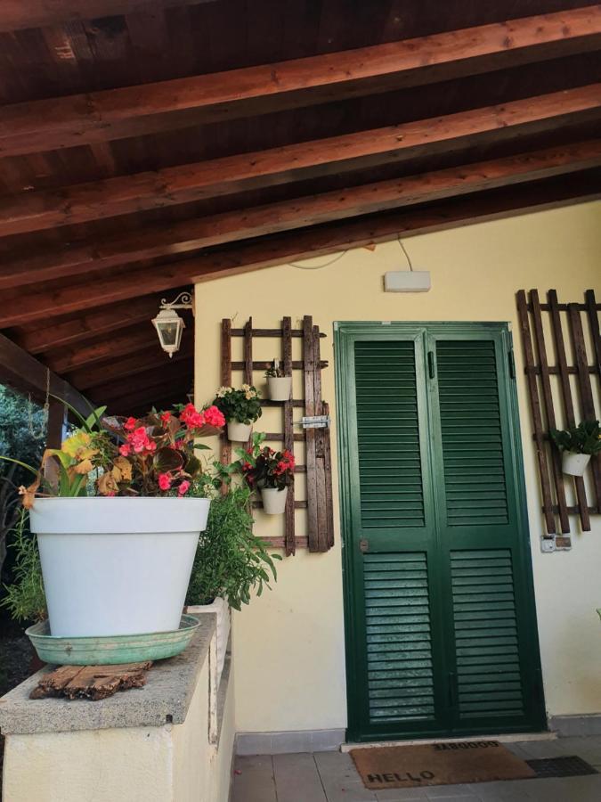Andrea'S House Βίλα Φιουμιτσίνο Εξωτερικό φωτογραφία